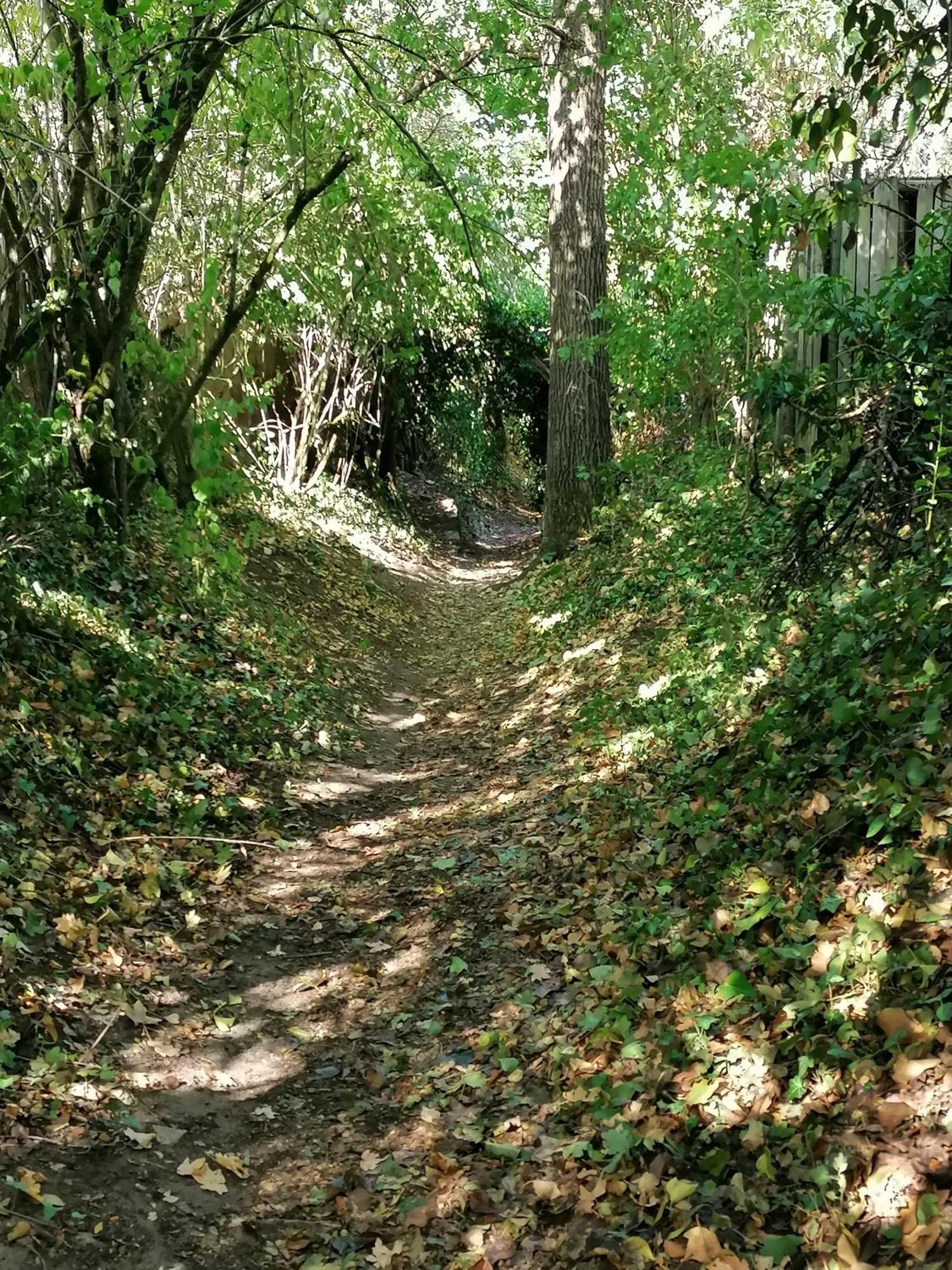 Kirschberghof Gaestehaus Und Weinverkauf سومرهاوزن المظهر الخارجي الصورة