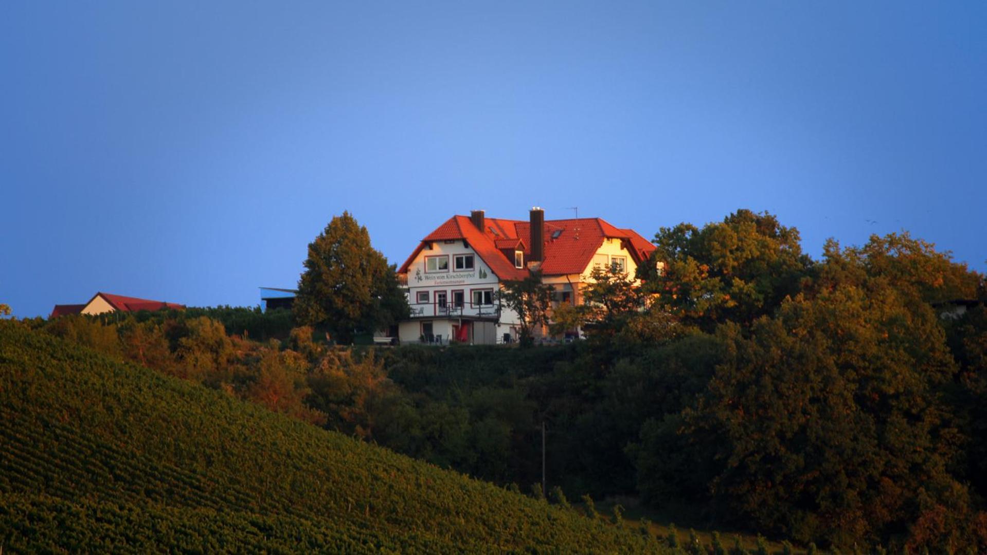 Kirschberghof Gaestehaus Und Weinverkauf سومرهاوزن المظهر الخارجي الصورة